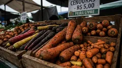 Tipos de cenoura: conheça as variedades e acerte na escolha para cada receita