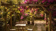 5 trepadeiras floridas para cobrir o pergolado e criar sombra natural